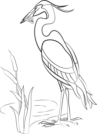 pencildrawing-bird-birds-species-black-white-handdrawn-sketch-55677