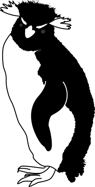 penguinfunny-penguins-design-elements-vector-385564