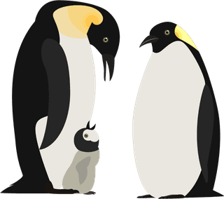 penguinpolar-animals-icons-cute-cartoon-sketch-10822