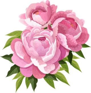 peoniespetals-icons-pink-blooming-design-207856