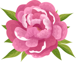 peoniespetals-icons-pink-blooming-design-342323