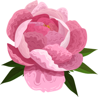 peoniespetals-icons-pink-blooming-design-717718