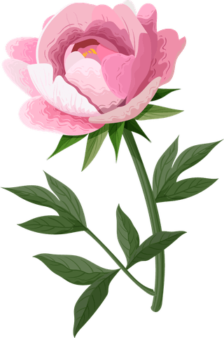 peoniespetals-icons-pink-blooming-design-169057