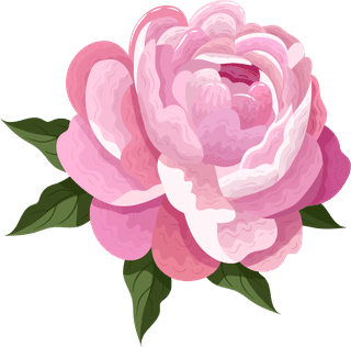 peoniespetals-icons-pink-blooming-design-687224