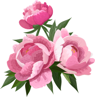 peoniespetals-icons-pink-blooming-design-454086