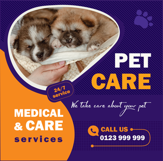 modernpet-care-and-product-templates-with-vibrant-colors-and-professional-layouts-for-versatile-use-785061