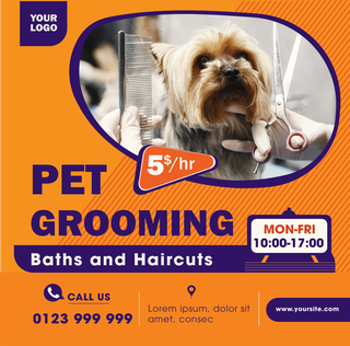 modernpet-care-and-product-templates-with-vibrant-colors-and-professional-layouts-for-versatile-use-688806