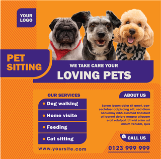 modernpet-care-and-product-templates-with-vibrant-colors-and-professional-layouts-for-versatile-use-675400