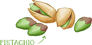 pitachio-hand-drawn-pistachio-baklava-recipe-508036