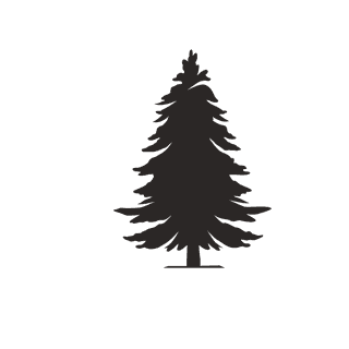 pinetree-and-plant-silhouette-924817