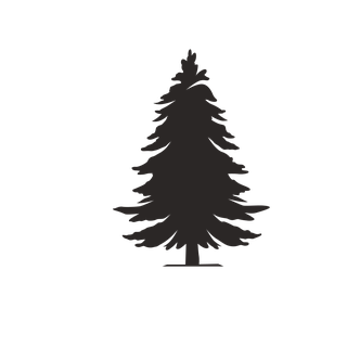 pinetree-and-plant-silhouette-924817