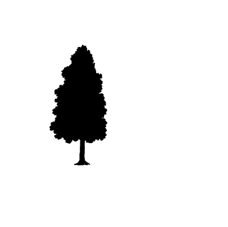 pinetree-silhouettes-in-minimalist-style-featuring-diverse-shapes-and-high-contrast-for-nature-themed-projects-698699