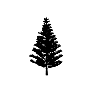 pinetree-silhouettes-in-minimalist-style-featuring-diverse-shapes-and-high-contrast-for-nature-themed-projects-700718
