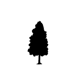 pinetree-silhouettes-in-minimalist-style-featuring-diverse-shapes-and-high-contrast-for-nature-themed-projects-708853