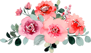 pinkrose-flower-bouquet-collection-with-watercolor-297346