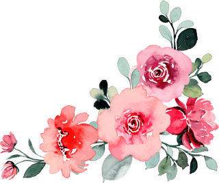pinkrose-flower-bouquet-collection-with-watercolor-577570
