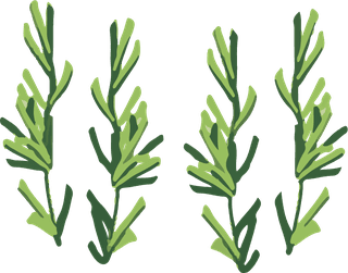 plantbontanical-vector-tree-324921