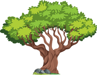 plantbotany-tree-nature-branch-terrestrial-plant-trunk-world-natural-landscape-703854