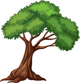 plantbotany-tree-nature-branch-terrestrial-plant-trunk-world-natural-landscape-706289