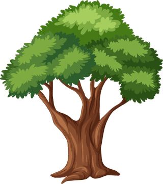 plantbotany-tree-nature-branch-terrestrial-plant-trunk-world-natural-landscape-708992
