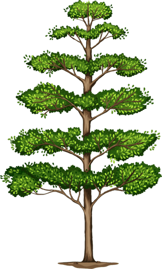 plantbotany-tree-nature-branch-terrestrial-plant-trunk-world-natural-landscape-711655