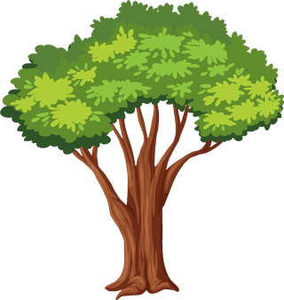 plantbotany-tree-nature-branch-terrestrial-plant-trunk-world-natural-landscape-722527