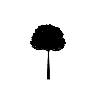largefoliage-plant-and-tree-silhouette-407406