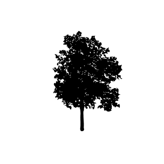 largefoliage-plant-and-tree-silhouette-413146