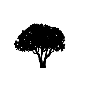 largefoliage-plant-and-tree-silhouette-400412