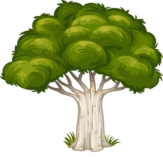 planttree-with-its-silhouette-664000