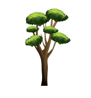 planttree-with-its-silhouette-573587