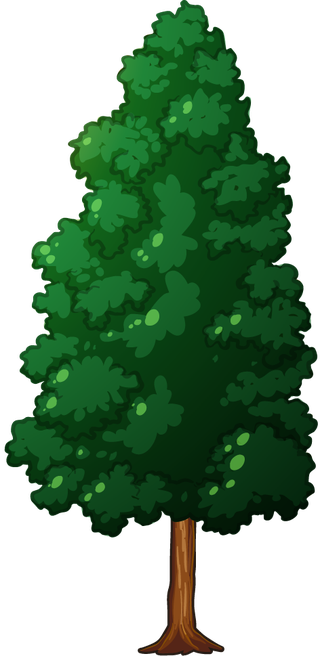 planttree-with-its-silhouette-962978