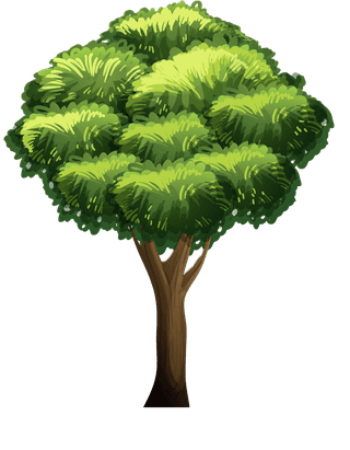planttree-with-its-silhouette-580044