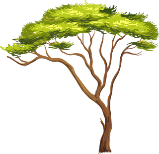 planttree-with-its-silhouette-728278