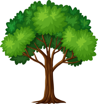 planttree-with-its-silhouette-969342