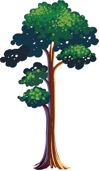 planttree-with-its-silhouette-499223