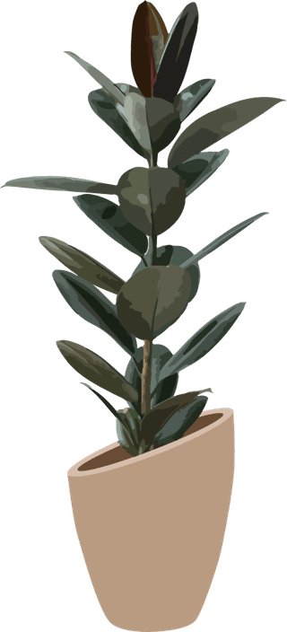 plantvector-art-houseplant-flower-pots-87683