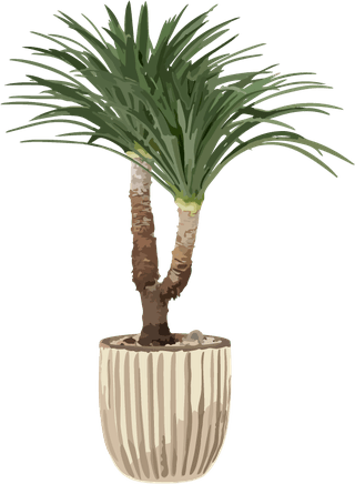 plantvector-art-houseplant-flower-pots-230878