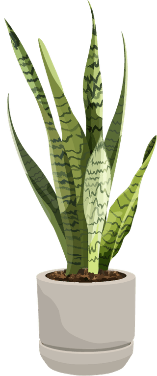 plantvector-art-houseplant-flower-pots-icon-617669