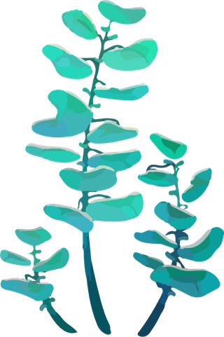 plantwatercolor-art-vector-cover-561411