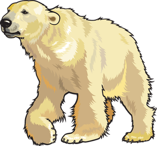 polarbears-different-type-of-wildlife-animals-on-white-background-illustration-464735