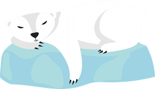 polarbears-polar-bear-set-200602