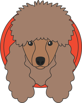 poodledog-cute-draw-beautiful-899480