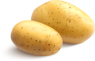potatoraw-fried-potato-set-crude-treated-chopped-chips-realistic-177437