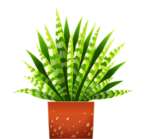 potsset-different-plants-pots-isolated-white-background-770817