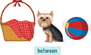 prepositionwordcard-with-dog-and-box-533640