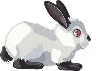 rabbitcartoon-farm-animals-set-159110