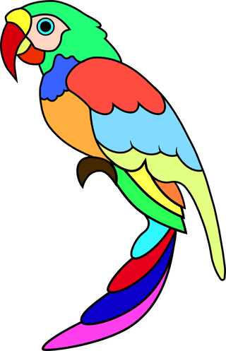 rainbowparrot-parrot-colorful-striking-beautiful-630135