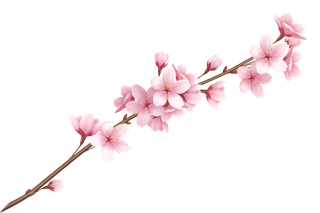 realisticbeautiful-sakura-branches-flowers-petals-illustration-985964