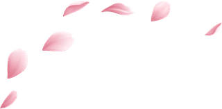 realisticbeautiful-sakura-branches-flowers-petals-illustration-101378